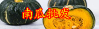 云南南瓜的別名叫什么？現在價格大概多少錢一斤？