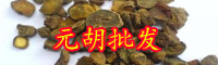 云南元胡價格多少錢一斤？種植前景怎么樣？