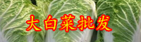 云南大白菜價格現低谷是受什么影響？新批發價格在多少錢一斤？