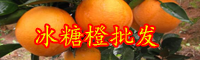 云南現在冰糖橙多少錢一斤？種植前景如何？