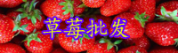 草莓近期價格為多少錢一斤？是什么季節的水果？