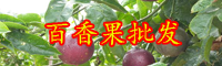 云南百香果多少錢一斤？種植前景怎么樣？