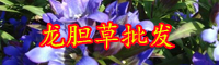 云南龍膽草多少錢一斤？2020年種植前景如何？