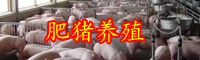 云南元旦春節(jié)期間豬肉供應(yīng)有保障嗎？價格是多少錢一斤？