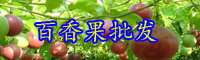 云南“果汁之王”百香果一年結(jié)幾次果？能活多少年？