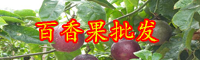 云南百香果苗批發(fā)多少錢一棵？它品種有哪些？