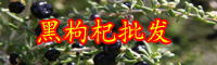 云南黑枸杞樹苗價格多少錢一棵？在北方能種植嗎？