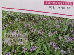 白芨(及)除草劑用什么藥_白芨(及)除草劑什么時候打好?圖3