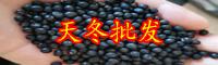 中藥材天冬種植前景怎樣？成本費盈利大約要多少錢一畝？中藥炮制方式與規范是啥？附收獲時間