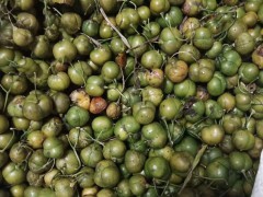 黃精價(jià)錢多少錢一斤？種植前景和經(jīng)濟(jì)效益如何？圖2