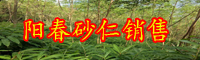 陽春砂仁一畝盈利多少錢？合適在什么地域栽種