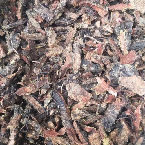 2020中藥草紅景天價格一斤多少！食用方法有哪些？哪些不適合喝紅景天泡水