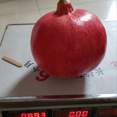 軟籽、黑子石榴樹(shù)苗的種植方法是什么？?jī)r(jià)格是多少錢一棵？