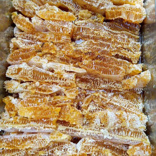 土蜂蜜多少錢一斤？養蜜蜂的技術有哪些？附成本分析