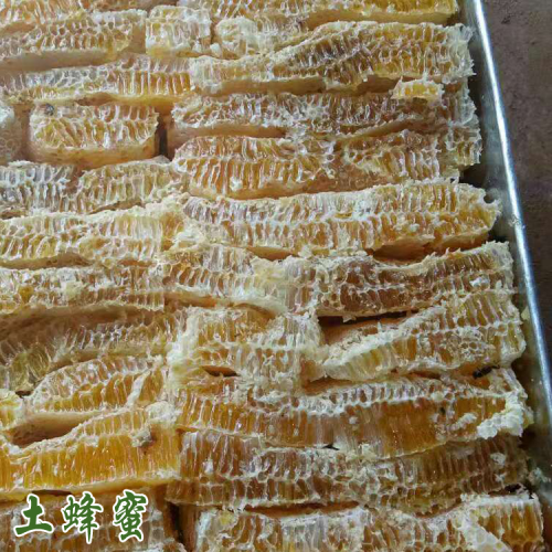 新手養殖蜜蜂要注意什么？盤點新手常見錯誤