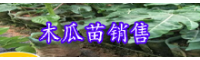 木瓜苗價(jià)錢要多少錢一棵？怎么種植才可以增產(chǎn)？