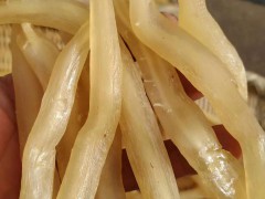 中藥材天冬栽種市場前景怎樣？成本費盈利大概多少錢一畝？中藥炮制方式與規范是啥？附獲得時間圖1