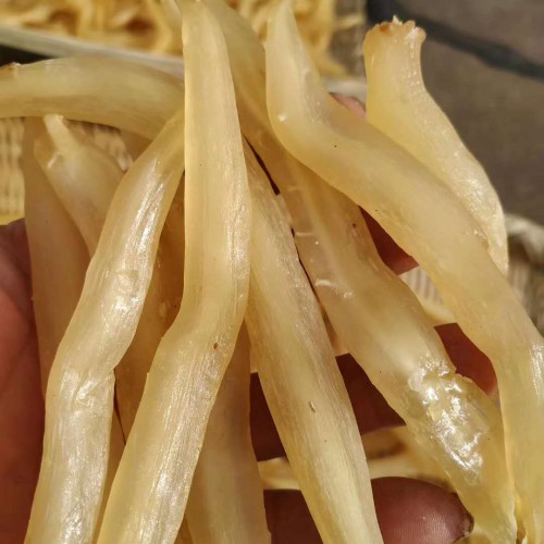 中藥材天冬價錢多少錢一斤？天冬和麥冬有什么差別？