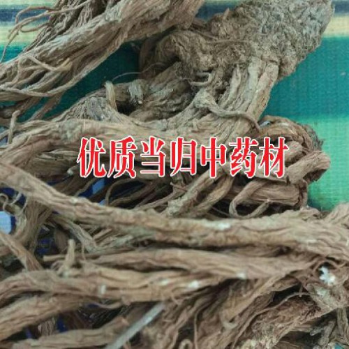 栽種當歸兩年能獲得？畝經(jīng)濟效益和栽培技術是如何？