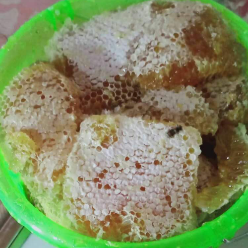 今年 過年前土蜂蜜多少錢一斤？養(yǎng)蜜蜂的技術(shù)性有什么？附成本分析報(bào)告