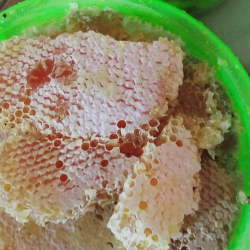 土蜂蜜多少錢一斤？泡水喝有什么作用與功效？