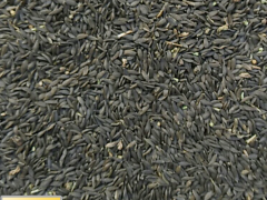 貢茶銷售基地_貢菜成品包回收圖3