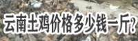 云南雞蛋價格大幅回落，多少錢一斤？