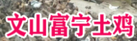 土雞現在賣到多少價格？文山富寧土雞