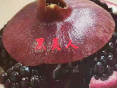 陜西臨潼、潼關(guān)  山東棗莊黑籽石榴樹苗-滇澤王黑美人石榴苗圖2