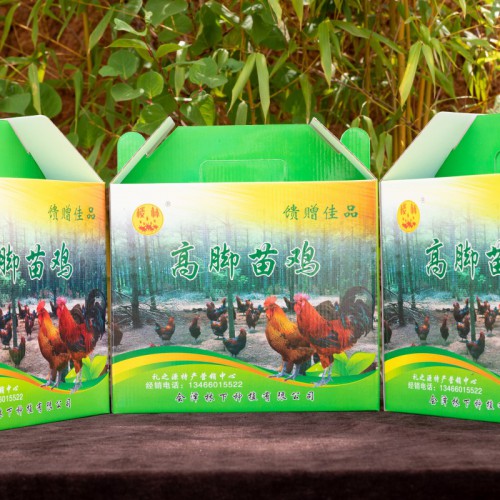 林下養殖模式的優缺點詳解