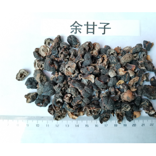 余甘子，余甘子肉，橄欖肉云南/楚雄中藥材價格，圖片