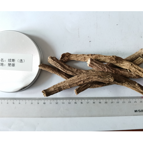 大量續斷/云南/楚雄續斷中藥材價格，參數，報價，圖片