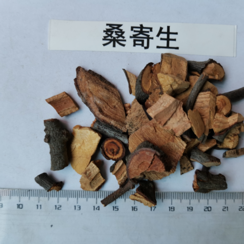 桑寄生和綠寄生的區別，哪個更好