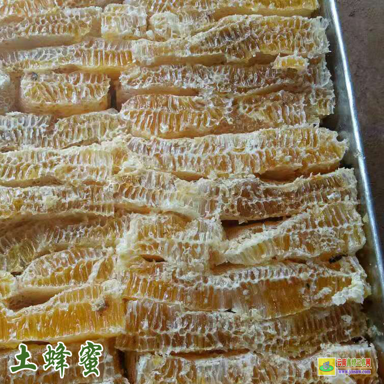 麗江純蜂蜜價格表和圖片 百花蜂蜜價格表 500克土蜂蜜價格