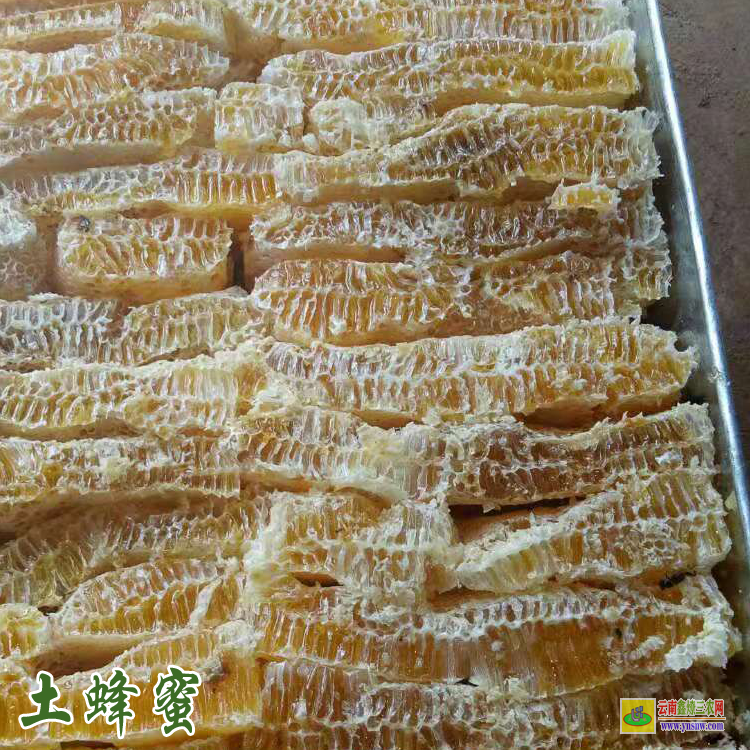 麗江純蜂蜜價格表和圖片 百花蜂蜜價格表 500克土蜂蜜價格