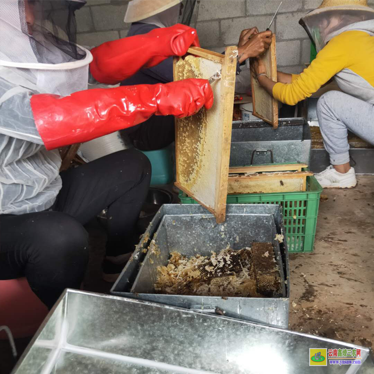 昭通純蜂蜜價格表和圖片 百花蜂蜜價格表 500克土蜂蜜價格