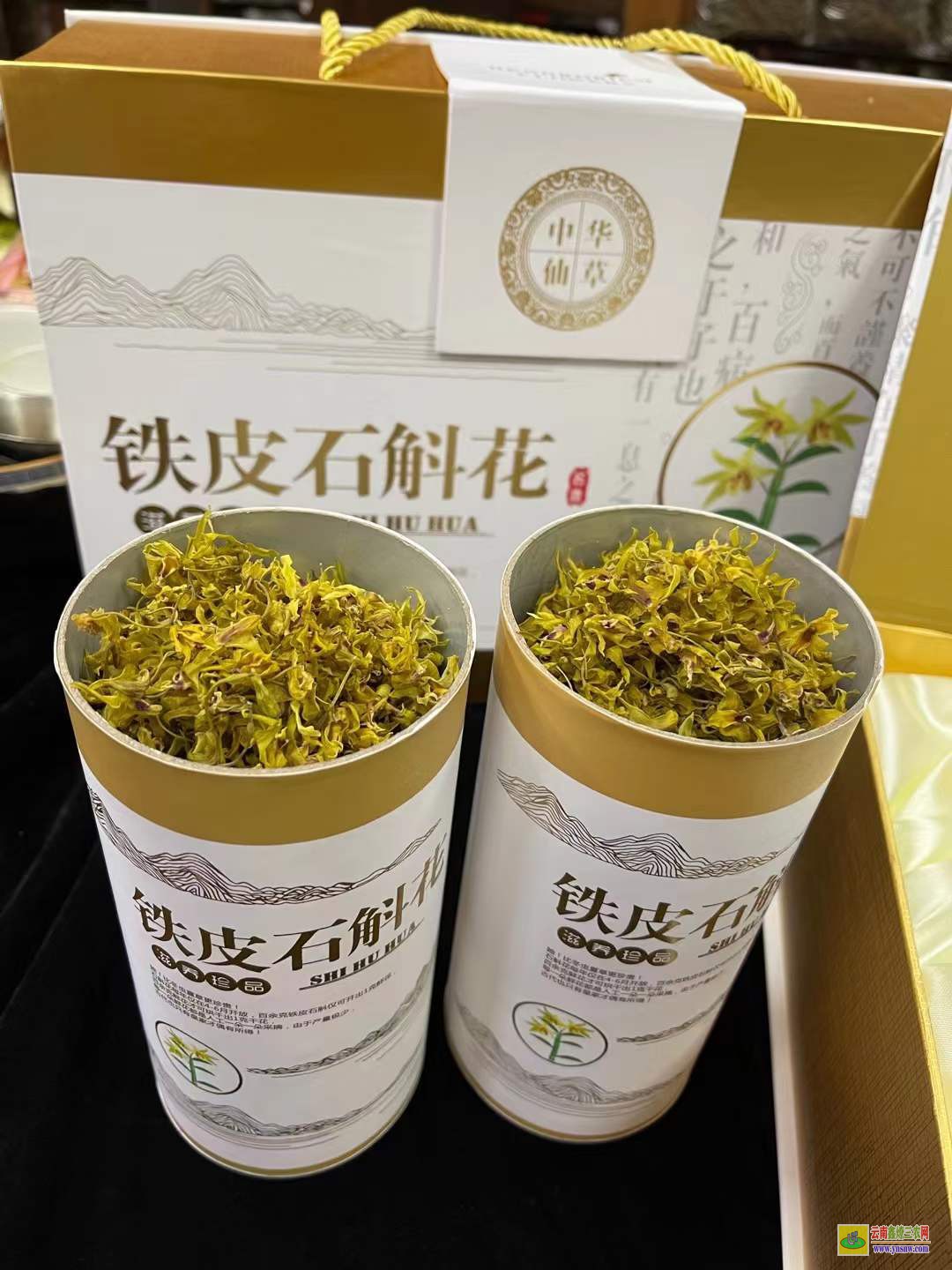 鐵皮石觸價(jià)格 石斛花價(jià)格表 鐵皮石斛多少一克
