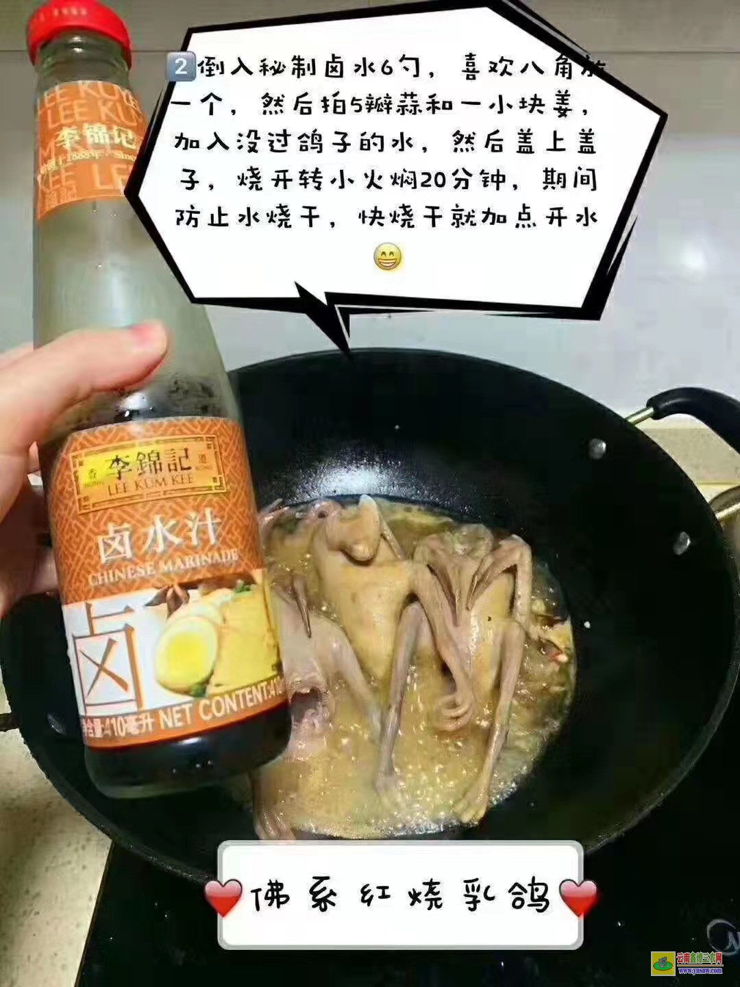 肥城肉鴿價(jià)格一般多少錢 鴿子種鴿價(jià)格 肉鴿價(jià)格怎么樣