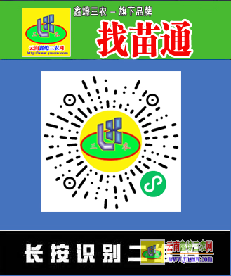 附近哪里有果樹苗批發市場 四川果樹苗批發市場在哪里 微信搜一搜｛找苗通｝小程序