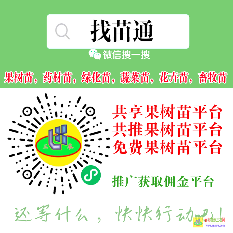 湖南婁底冷水江貴州錦屏苗木銷售平臺 微信搜一搜[找苗通] 哪個平臺可以買蔬菜苗