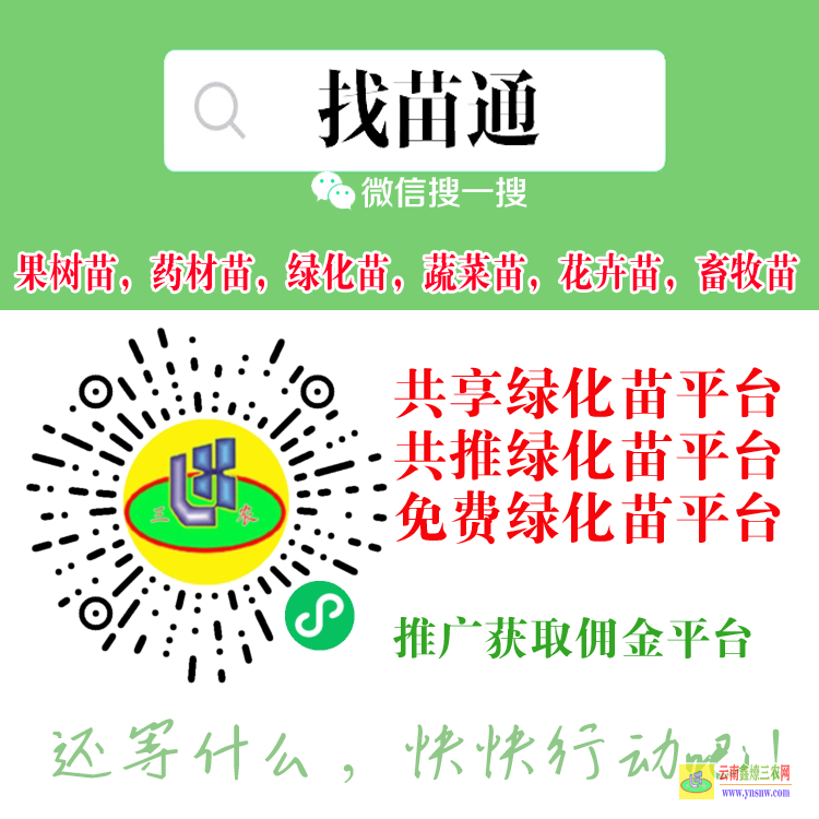 湖南婁底冷水江貴州錦屏苗木銷售平臺 微信搜一搜[找苗通] 哪個平臺可以買蔬菜苗