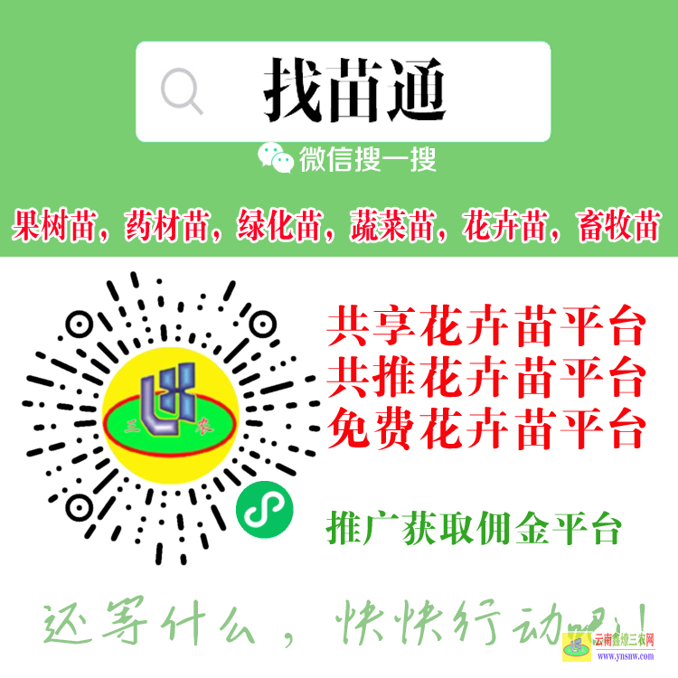 云南昭通巧家貴州錦屏苗木銷售平臺(tái) 微信搜一搜[找苗通] 哪個(gè)平臺(tái)可以買蔬菜苗