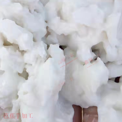 黔東芭蕉芋多少錢一噸 云南芭蕉芋粉絲批發(fā)價(jià)格 余江芭蕉芋淀粉價(jià)格