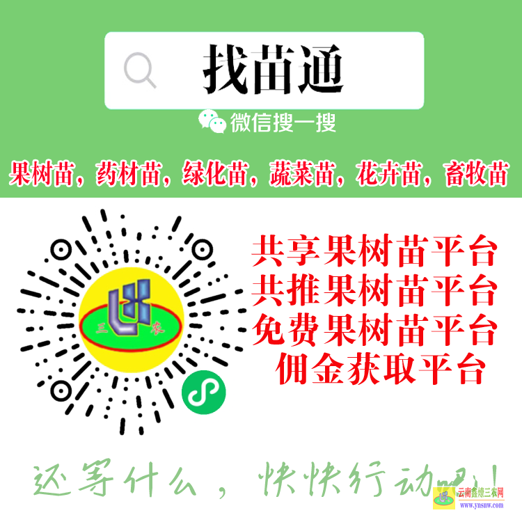 貴州貴陽貴州錦屏苗木銷售平臺 微信搜一搜[找苗通] 哪個平臺可以買蔬菜苗