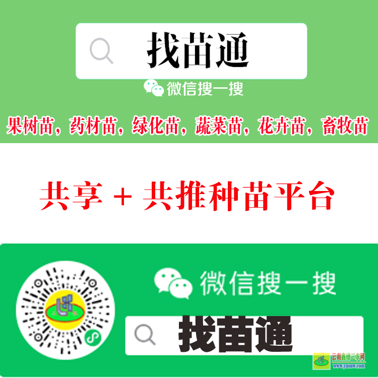 貴州貴陽貴州錦屏苗木銷售平臺 微信搜一搜[找苗通] 哪個平臺可以買蔬菜苗