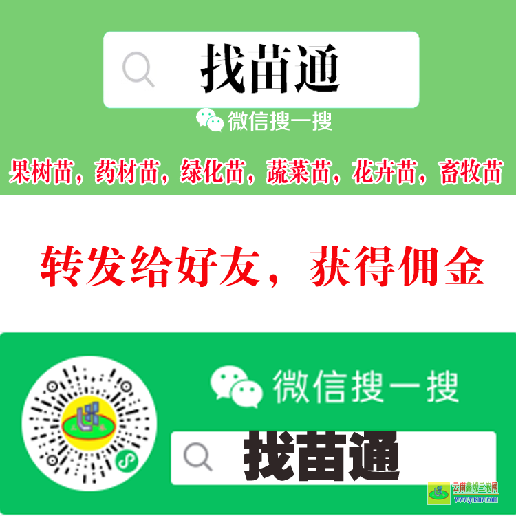 畢節哪個平臺可以買蔬菜苗 微信搜一搜[找苗通] 云苗庫果樹苗交易平臺