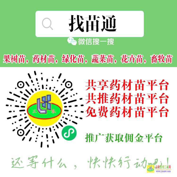 畢節哪個平臺可以買蔬菜苗 微信搜一搜[找苗通] 云苗庫果樹苗交易平臺