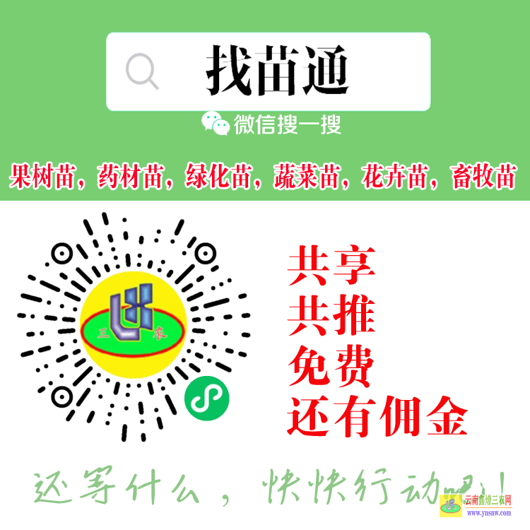 成都壽光蔬菜苗什么平臺 微信搜一搜[找苗通] 大果樹苗木交易平臺
