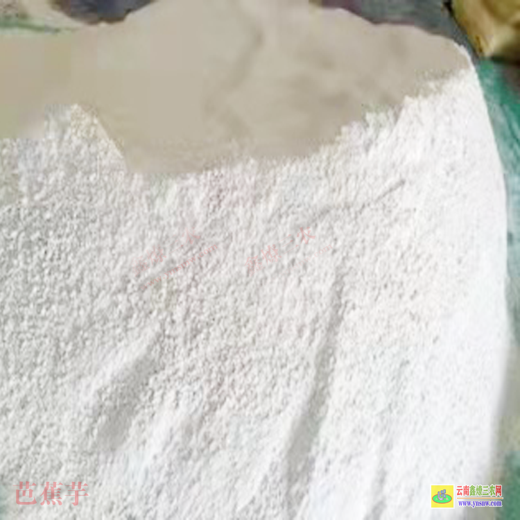 廣西芭蕉芋收購(gòu)價(jià)格 廣西百色平果芭蕉芋淀粉收購(gòu)價(jià)格 云南紅河芭蕉芋的市場(chǎng)價(jià)格