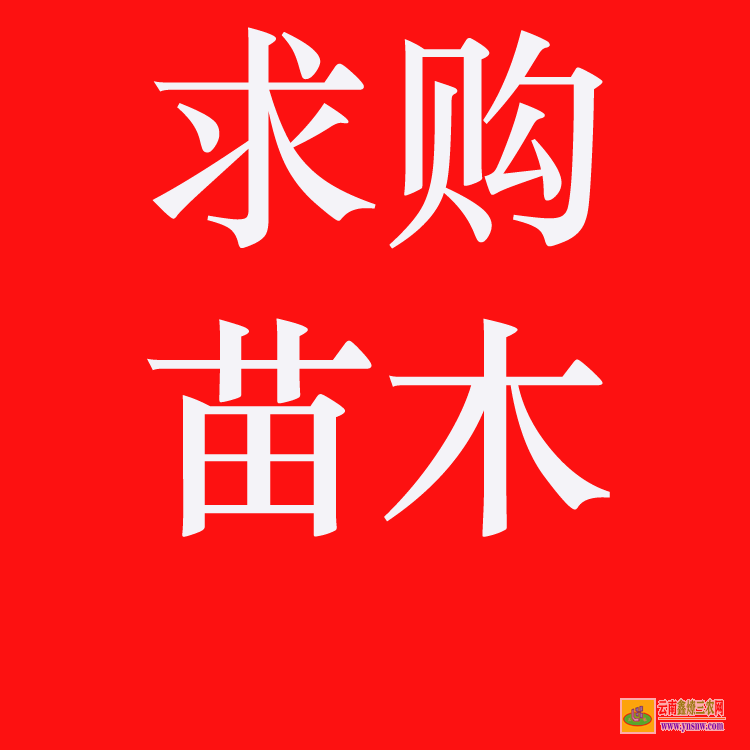 建水2022苗木價格一覽表 苗木交易靠譜的網站 苗木價格網